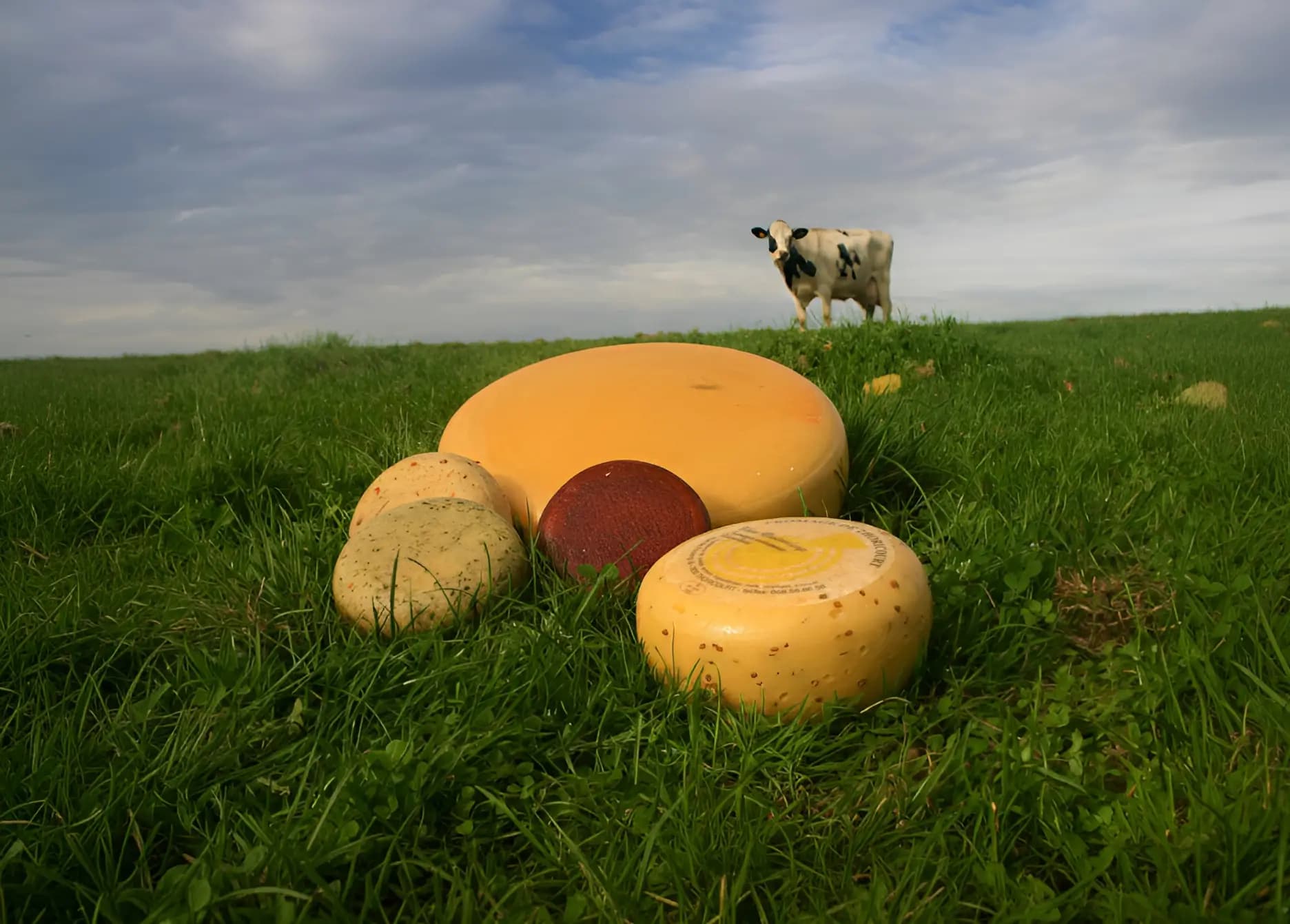 Fromages de Thoricourt